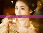 The Versatility of Hanfus Pibo:Unraveling the Charm of Traditional Chinese Beauty