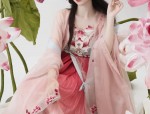 Traditional Tang and Hanfu Fashion for Summer Women:A Blend of Elegance and Comfort