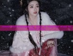 Winter Thickness for Little Girls:The Charm of Traditional Hanfu Coats for Girls