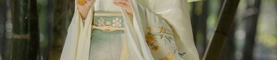 Hanfu Fashion:Exploring Traditional Chinese Style in Junior School Days