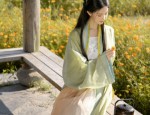 The Summer of Ming-Style Hanfu:The Long-Gown with the Overlapping Fronts