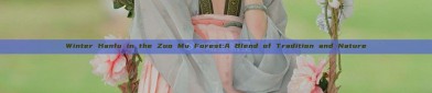 Winter Hanfu in the Zuo Mu Forest:A Blend of Tradition and Nature