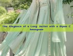 Hangzhou Childrens Hanfu Fashion:A Journey into Traditional Elegance