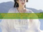 The Splendor of Nine-Day Divine Maiden:A Journey into the World of Hanfu Fashion