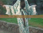 The Splendor of Southern-Style Hanfu:Unveiling the Elegance of Traditional Chinese Clothing