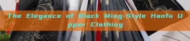 The Elegance of Black Ming-Style Hanfu Upper Clothing