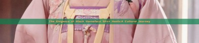 The Elegance of Black Horseface Skirt Hanfu:A Cultural Journey
