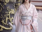 A Guide to Buying a Single-Piece Girls Hanfu Outer Robe