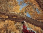 Qipao:A Retro Revival in the Era of the Republic of China