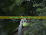 Sub-Jing Original Hanfu:Embracing Summer in Traditional Elegance