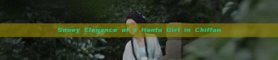 Snowy Elegance of a Hanfu Girl in Chiffon