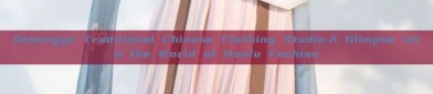 Qimengge Traditional Chinese Clothing Studio:A Glimpse into the World of Hanfu Fashion