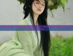 汉服魏晋风交领