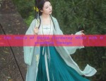 Spring Girls Hanfu Dress:Traditional Chinese Style Long-sleeved Robe Skirt