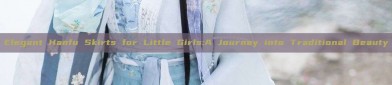 Elegant Hanfu Skirts for Little Girls:A Journey into Traditional Beauty