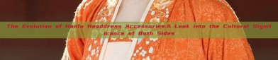The Evolution of Hanfu Headdress Accessories:A Look into the Cultural Significance of Both Sides