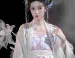 The Enigma of a Hanfu Martial Arts Dame:A Tale of a Heroic Swordswoman in Traditional Elegance