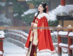 The Splendor of Red Hanfu Aircraft-袖ed Top
