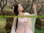 The Enchantment of Red Cheongsam Performance Wear