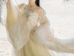 The Belt of the Round-necked Hanfu Robe:A Symbol of Traditional Chinese Elegance