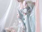 The Cultural Significance of Baicai Hanfu in Ming-Style Fashion