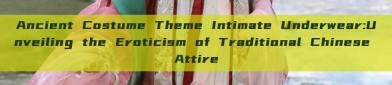 Ancient Costume Theme Intimate Underwear:Unveiling the Eroticism of Traditional Chinese Attire