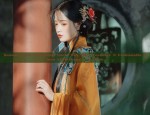 Embracing the Elegance of Traditional Chinese Dress with Waisted Belt and Ornamented Waistband