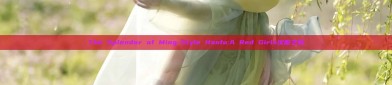The Splendor of Ming-Style Hanfu:A Red Girls汉服之旅