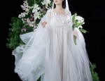 The Background of Cheongsam Fashion Show Video