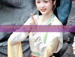 Vintage-Style Earrings:Embracing the Charm of Traditional Hanfu Jewelry