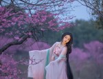 Chinese Traditional Hanfu:A Journey Through Ancient Elegance