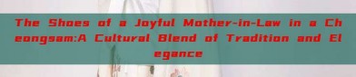 The Shoes of a Joyful Mother-in-Law in a Cheongsam:A Cultural Blend of Tradition and Elegance