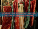 Blue and White Porcelain-Inspired Hanfu Dress for Girls:A Cultural Fusion of Elegance and Tradition