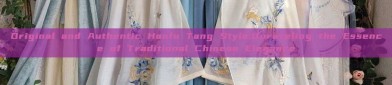 Original and Authentic Hanfu Tang Style:Unraveling the Essence of Traditional Chinese Elegance