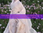 The Enchantment of Blue Hanfu Costumes:A Girls Journey into Traditional Chinese Elegance