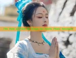 Hannas Union:The Journey of Buying Traditional Hanfu with Daqiaos Touch