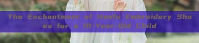 The Enchantment of Hanfu Embroidery Shoes for a 10-Year-Old Child