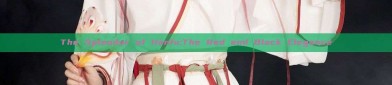 The Splendor of Hanfu:The Red and Black Elegance