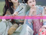 The Splendor of Hanfu Wristbands:A Journey into the Fabric of Traditional Chinese Elegance