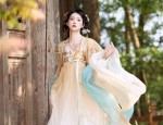 Peach Blossom Chronicle:The Elegance of Hanfu in a Tapestry of Peach Blossoms