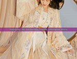 New Years Armor:The Revival of Hanfu in the Year of the Dragon
