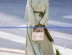 The Splendor of Hanfu Back Cloud:A Journey into Traditional Chinese Beauty