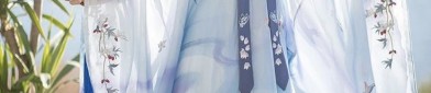 The Complete Guide to Hanfu Headdress:Womens Hong Zhao Yuan
