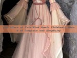 Summer Elegance with the Mamen-Style Skirt and Its Silk纱裙