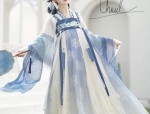 Ultra-Short Transparent Cheongsam:A Closer Look
