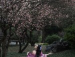 Traditional Tang and Hanfu Fashion for Summer Women:A Blend of Elegance and Comfort