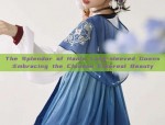 The Splendor of Hanfu Long-sleeved Gowns:Embracing the Chinese Ethereal Beauty