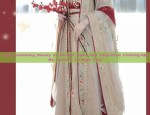 Slimming Elegance:The Original Hanfu Style of Huaxizi