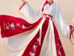 Traditional Elegance:Womens Tang Suit Dress for Autumn-Winter