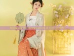 Spring Girls Hanfu Dress:Traditional Chinese Style Long-sleeved Robe Skirt